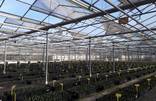 knop-monsterkas-emmeloord knop-monsterkas-emmeloord